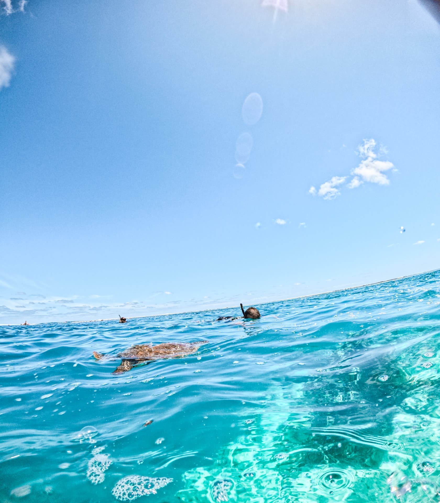 Turtle surfacing beside snorkellers under a bright blue sky