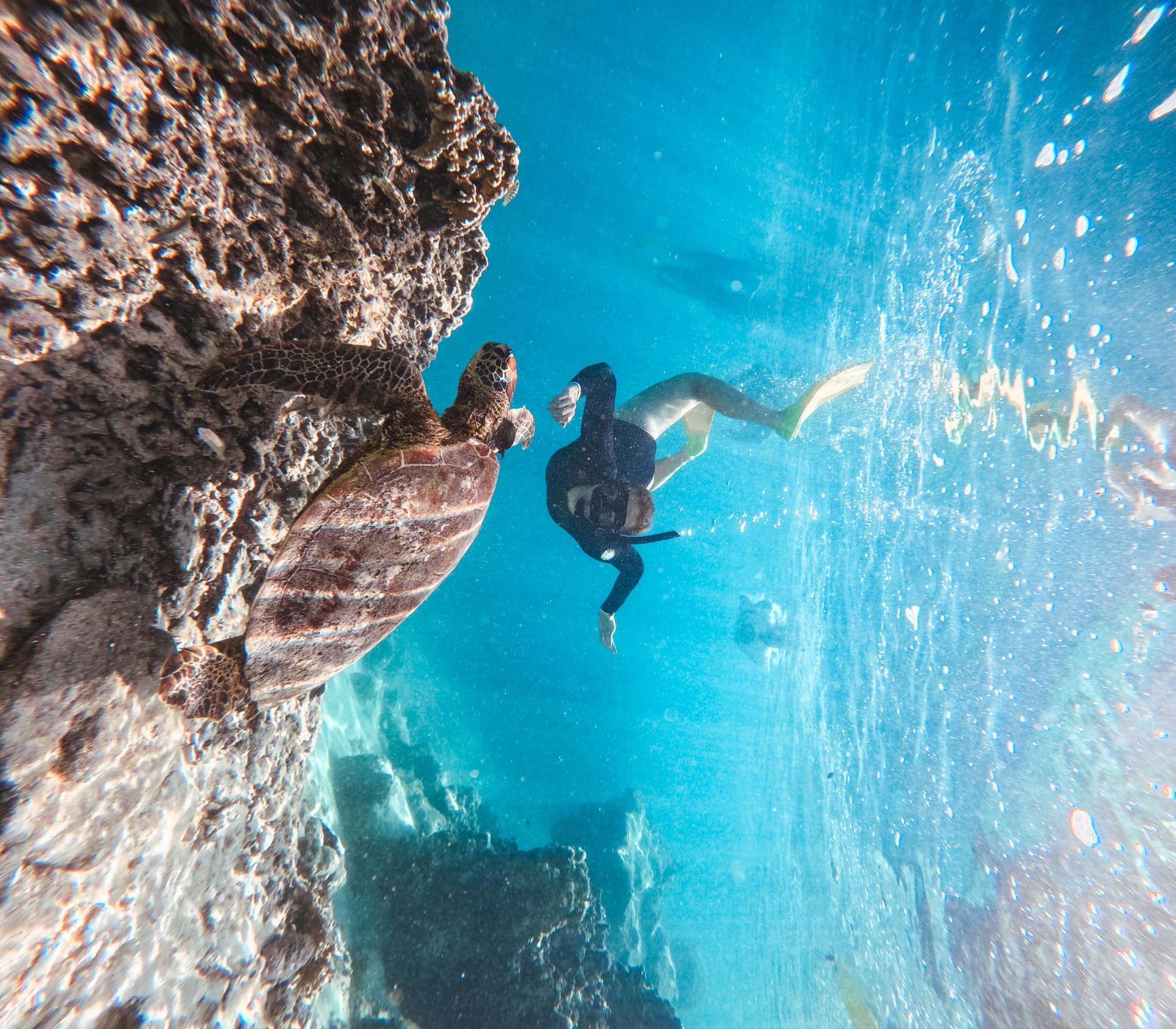 Sea Pace guide freediving alongside a turtle on the reef wall