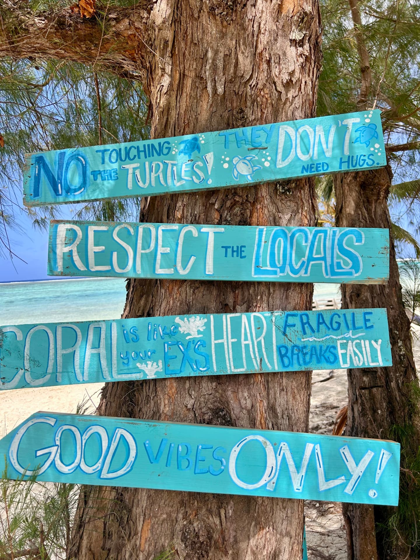 Hand-painted beach signs reminding guests not to touch the turtles