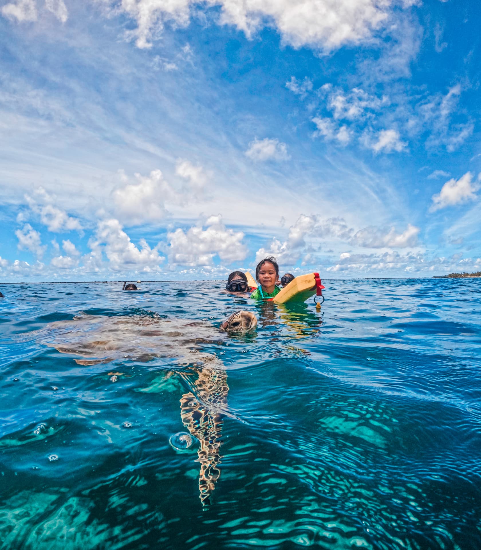 Child on a float board watching a green sea turtle surface beside her