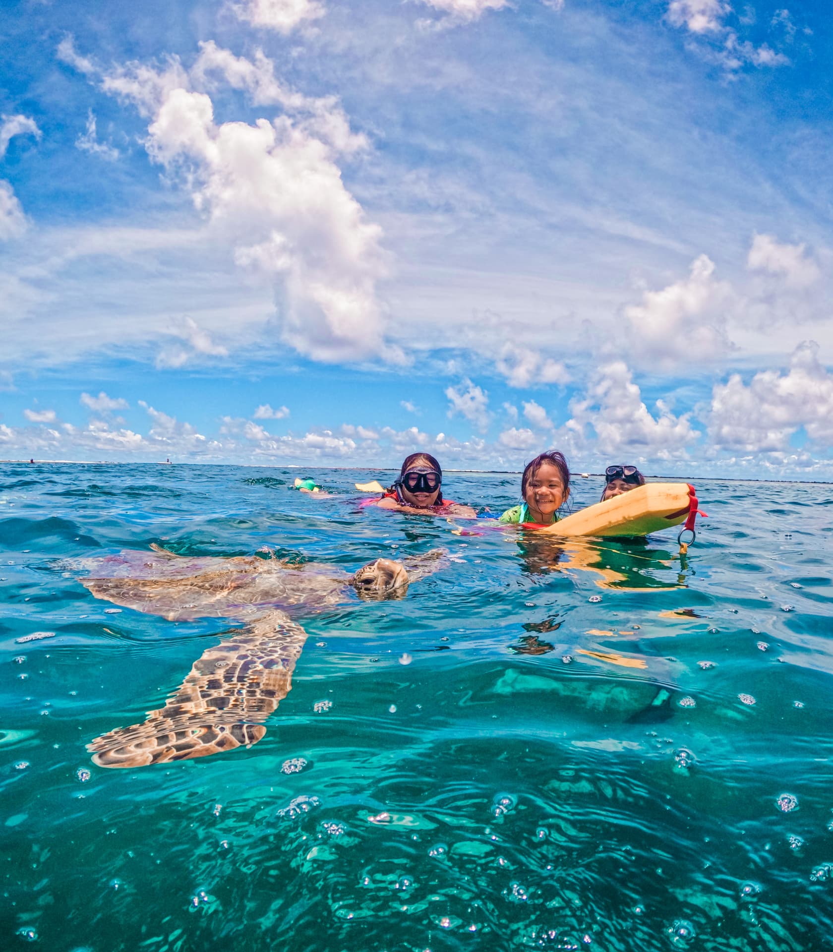 Guests floating at the surface beside a green sea turtle in Rarotonga
