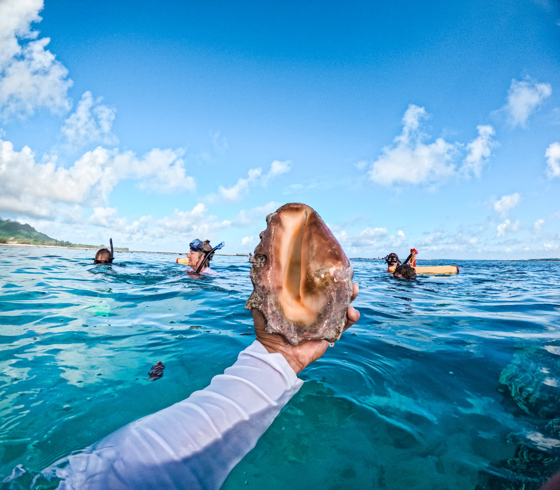 Sea Pace guide holding a large shell while guests snorkel in the Rarotonga lagoon