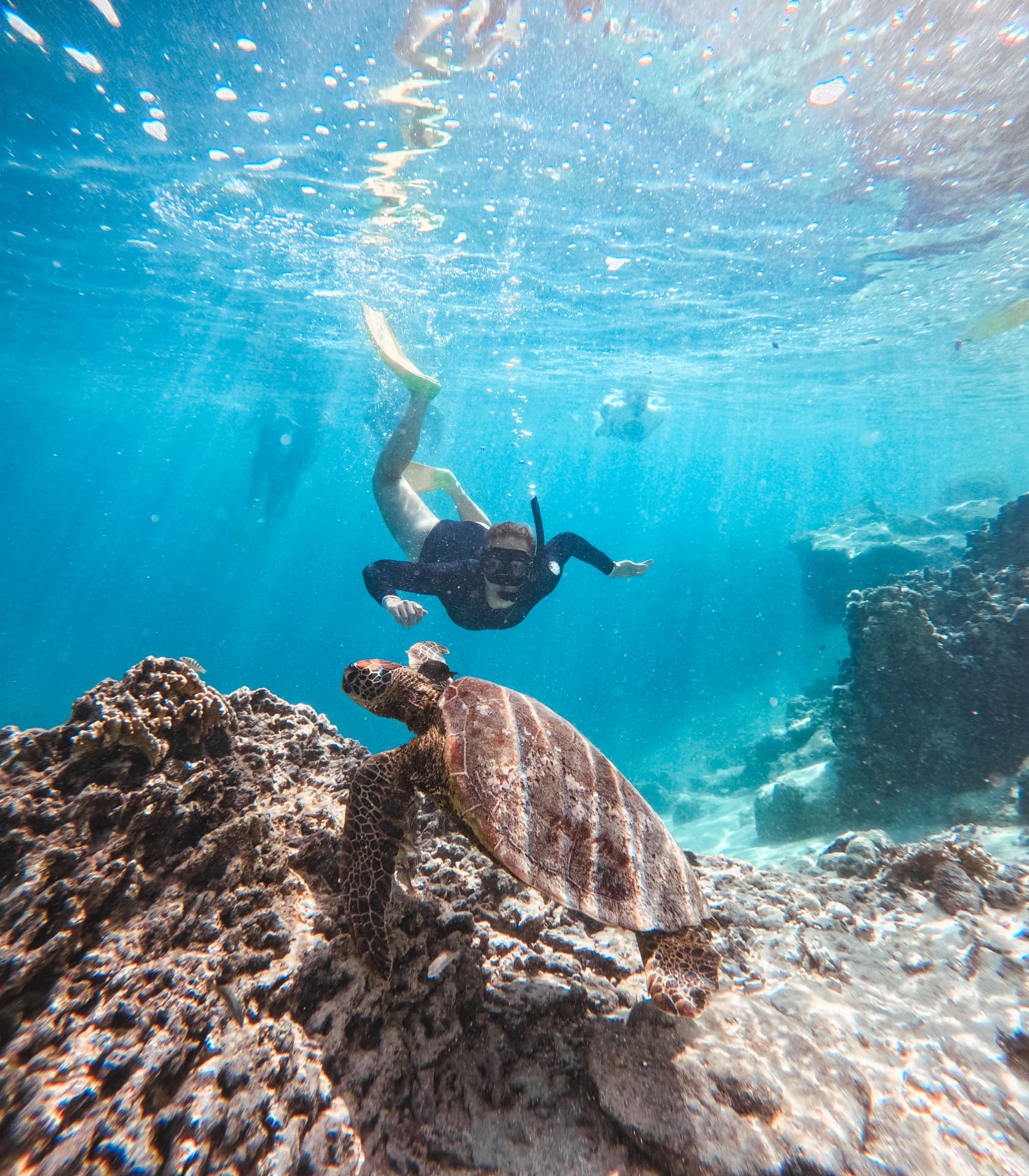 Snorkeller swimming alongside a green sea turtle in the Avaavaroa Passage
