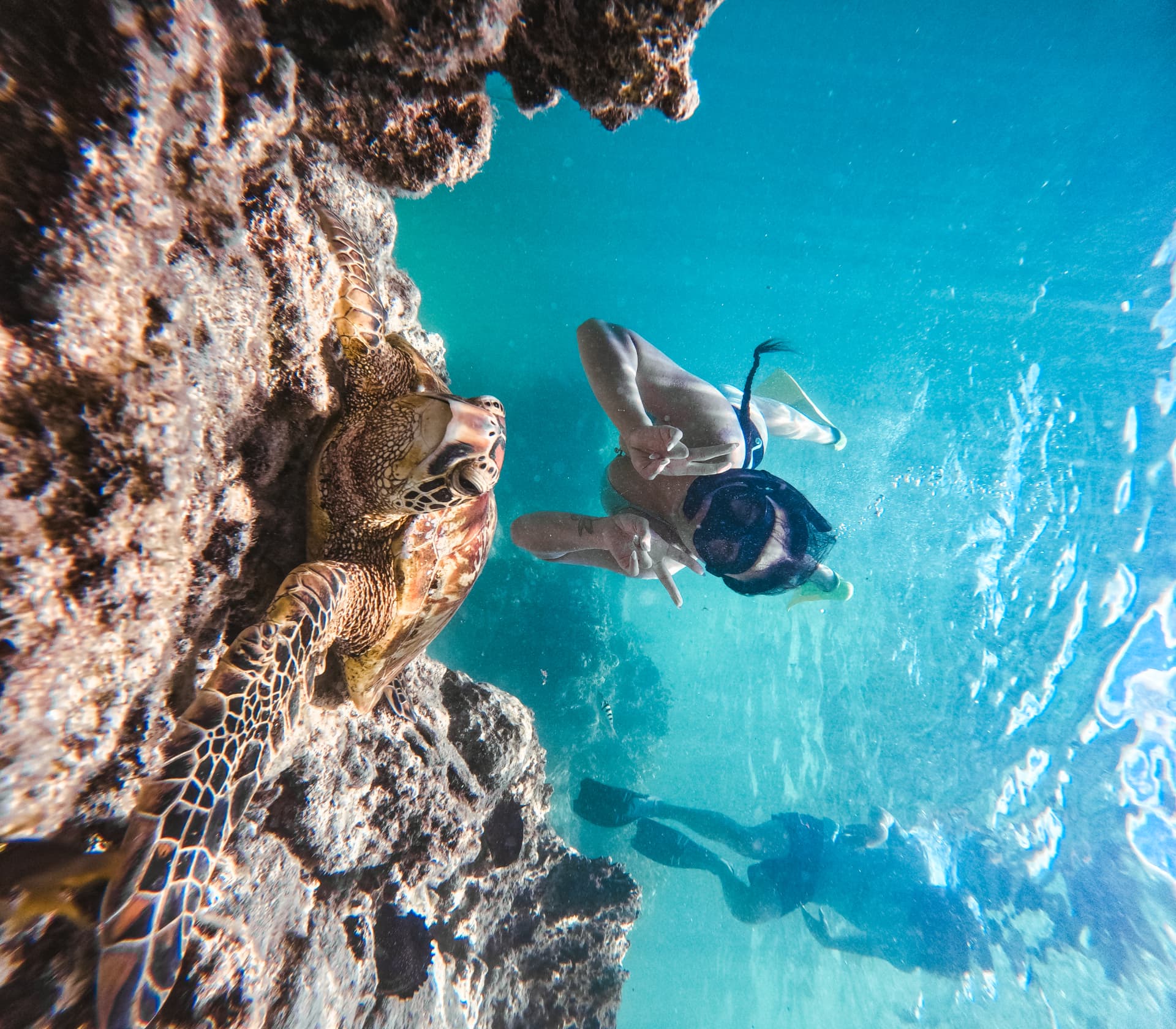 Two snorkellers posing beside a green sea turtle on the reef