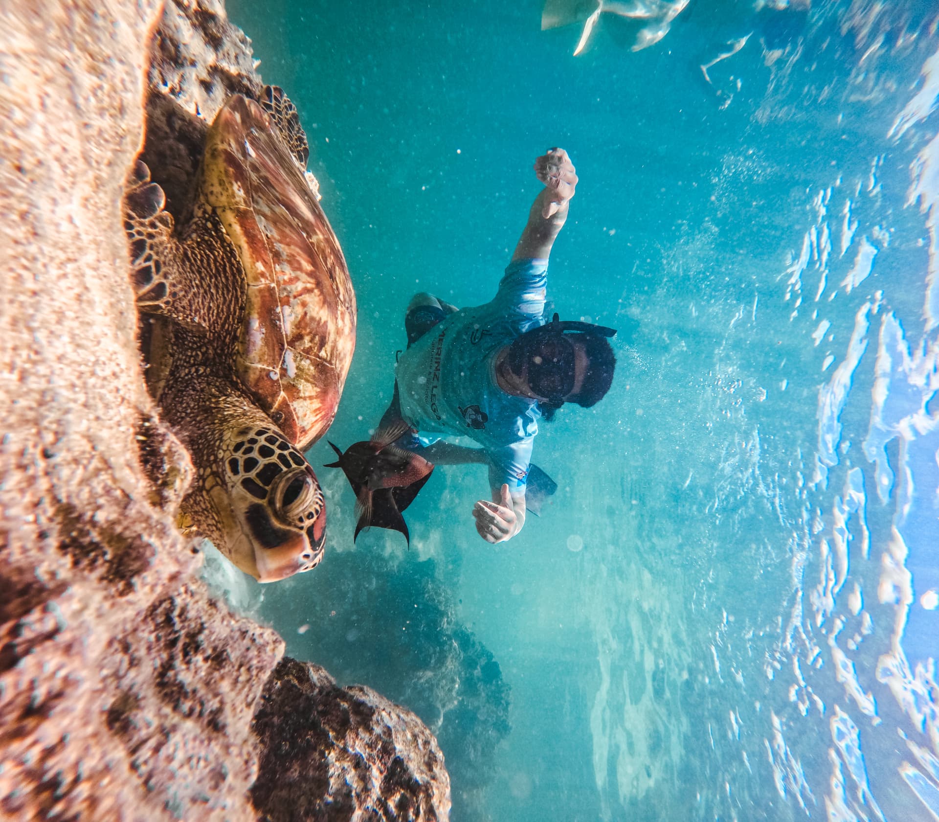 Sea Pace guide swimming beside a green sea turtle and reef fish