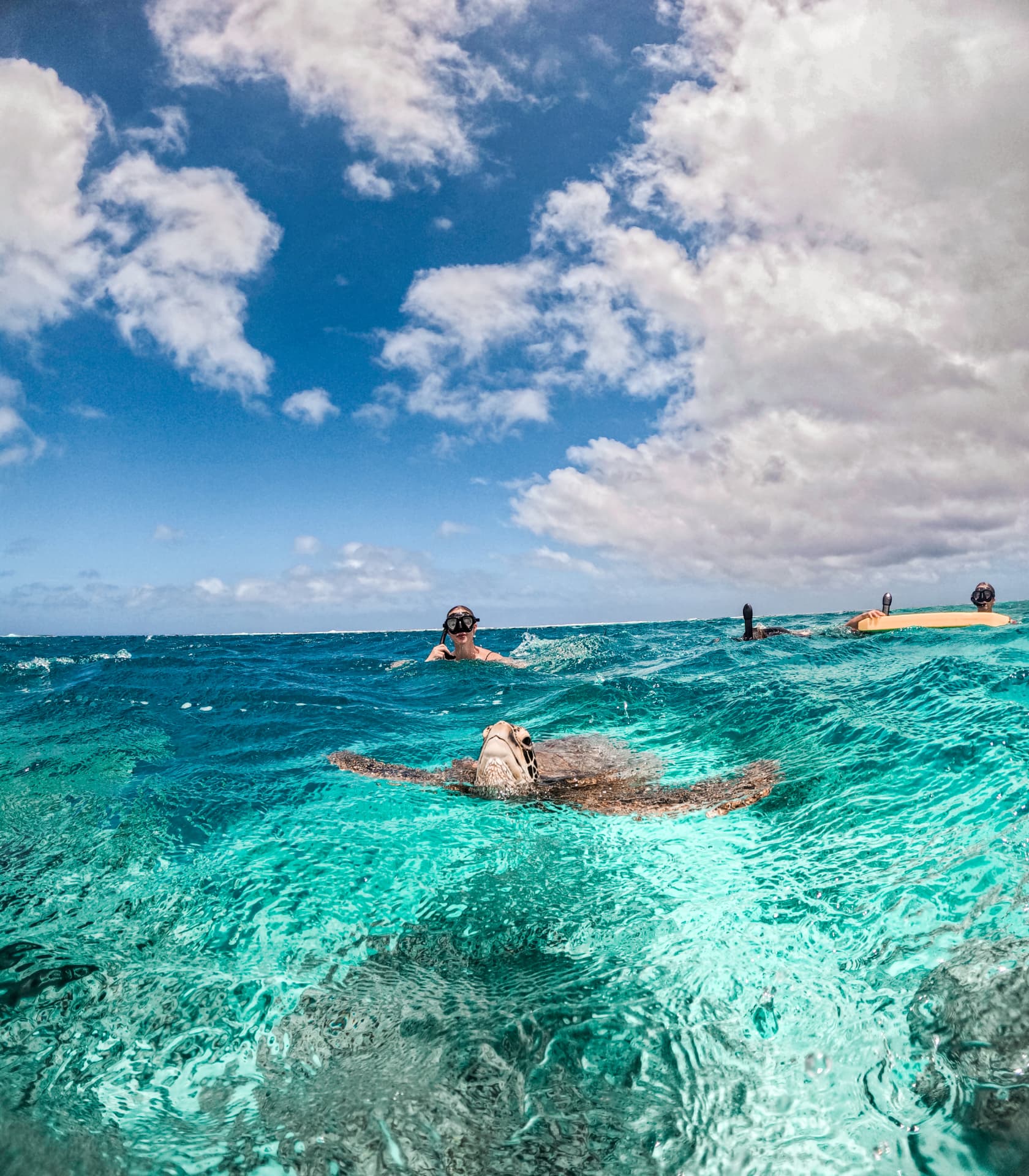 Turtle surfacing beside Sea Pace guests in the turquoise lagoon